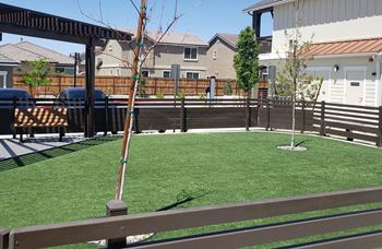 Pet park